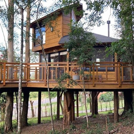 Casa Na Arvore Morada Dos Vagalumes فاروبيلا المظهر الخارجي الصورة